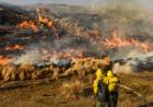 El índice de riesgo para incendios forestales está en alerta extremo