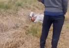 Incendios: detuvieron a un hombre ebrio en Calamuchita por prender fuego y aseguró que "lo mandaron"