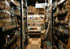  El Salario Mínimo Vital y Móvil alcanza para cubrir apenas dos tercios de la Canasta Básica Alimentaria