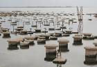 La sequía se acentúa en la laguna Mar Chiquita