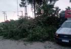 Frontera restablece servicio eléctrico tras la tormenta de año nuevo
