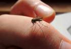 En 15 días se duplicaron los casos de dengue en Córdoba