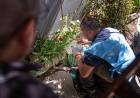 Aplastante caída del dengue en Córdoba: 3.394 casos este año contra 129.274 del 2024