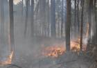 La Provincia declaró el estado de alerta ambiental por riesgo de incendios