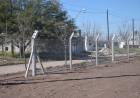 San Isidro comenzó con el cerramiento de los nuevos lotes del predio 