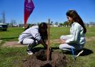 San Francisco colaboró en la forestación del Polideportivo de Frontera