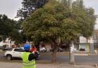 En San Francisco se relevan postes y subestaciones para identificar posibles fallas y riesgos en la infraestructura del servicio eléctrico