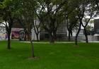 La renovada Plaza Italia suma un nuevo espacio verde y de encuentro para la comunidad