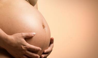 Córdoba: nueve acusados por captar a mujeres en situación de vulnerabilidad para que "alquilen" sus vientres