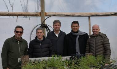 Pulmón verde, reforestación y crecimiento del vivero municipal los próximos pasos 