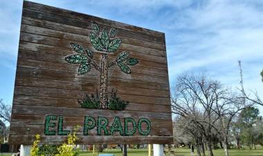 Detenido por Violación de Domicilio y Resistencia a la Autoridad en barrio El Prado