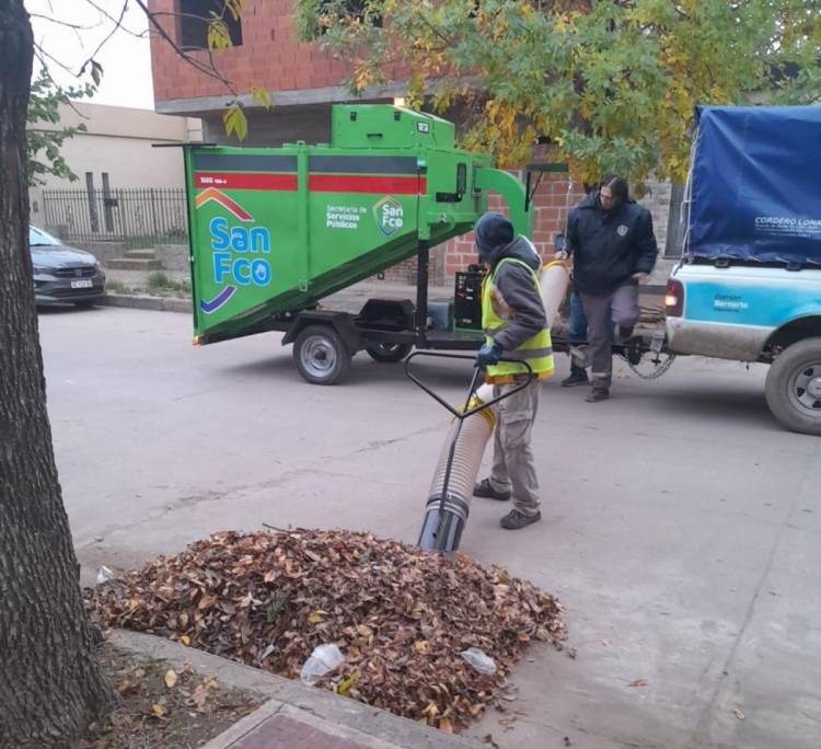 El municipio realiza tareas de mantenimiento, barrido y limpieza en la ciudad