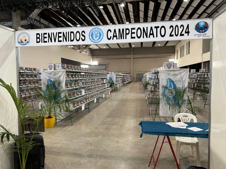 San Francisco será sede del 72º Campeonato Argentino de Canaricultura 