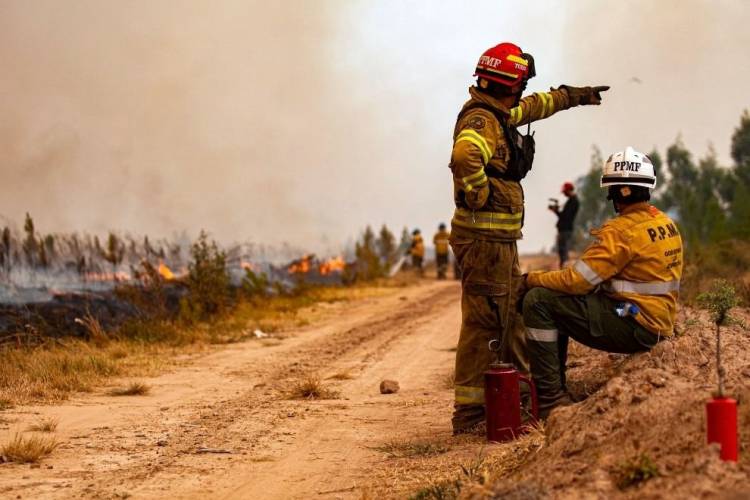No hay focos de incendios activos en la provincia