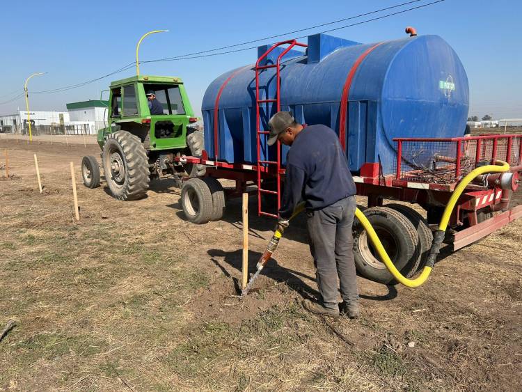 Se plantaron 500 ejemplares de especies autóctonas en el Parque Industrial