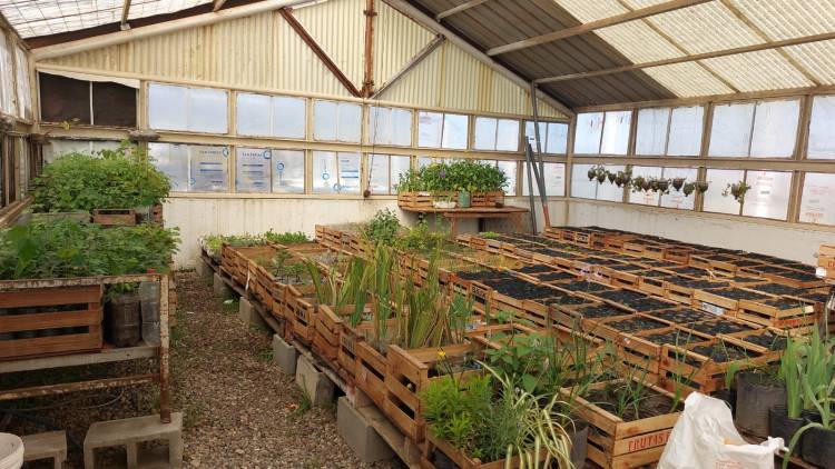 Presos de la penitenciaría local se capacitan en jardinería 