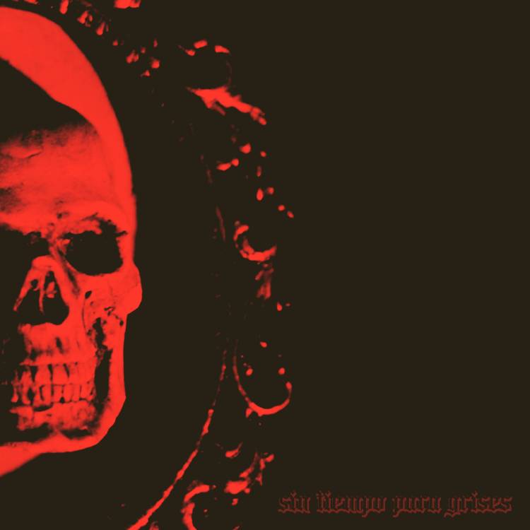 “Sinergia” anunció su nuevo disco: “Sin tiempo para grises”