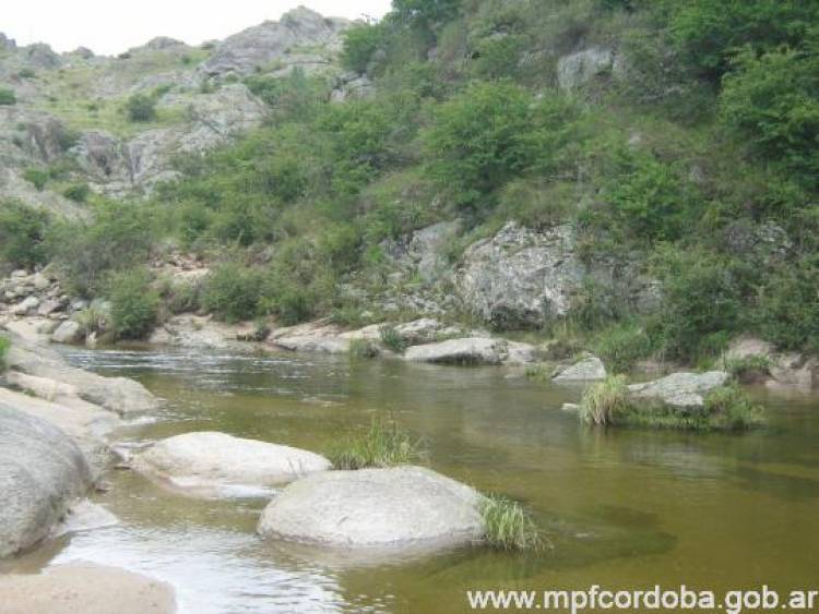 Investigan supuesta contaminación ambiental en La Cumbrecita