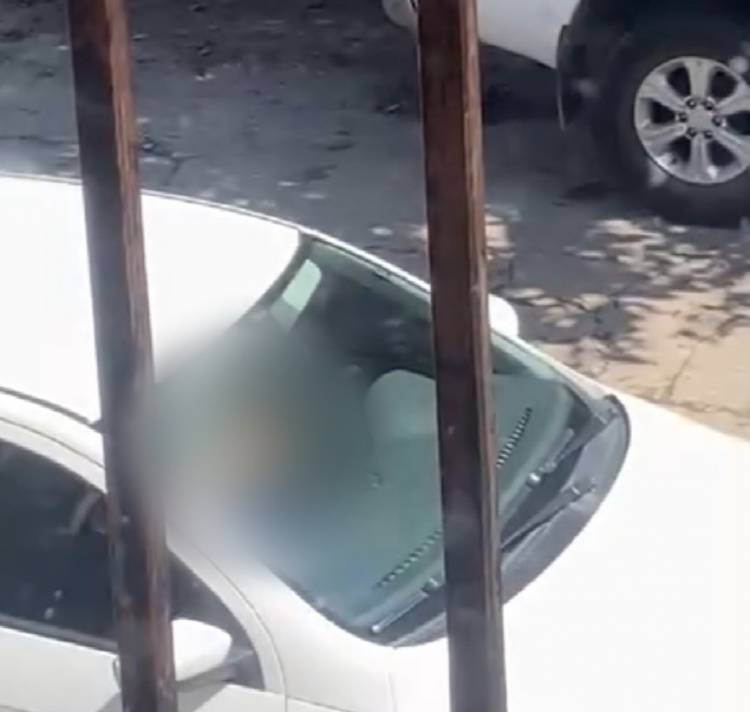 Detuvieron a un joven 18 como el responsable de exhibicionismo frente al colegio Normal