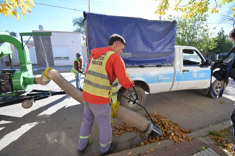 El municipio pone en marcha la campaña de recolección de hojas