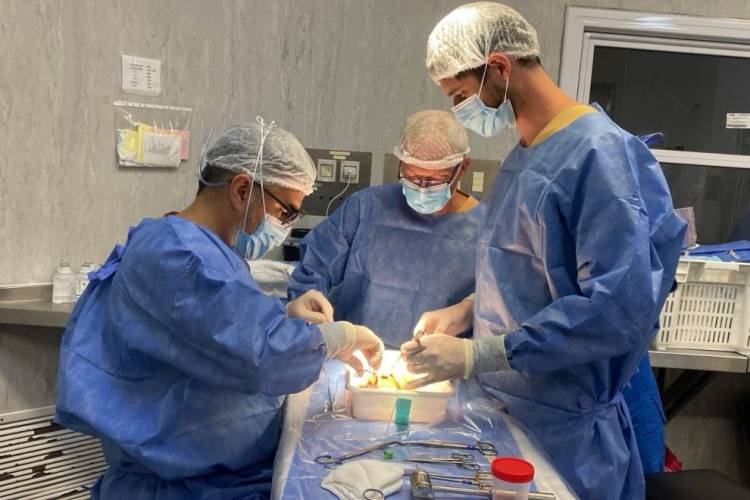 Córdoba: se realizó por primera vez en la provincia un trasplante renal con máquinas de perfusión hipotérmicas