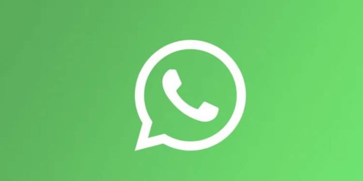 WhatsApp incorpora inteligencia artificial, fondos personalizados y stickers interactivos