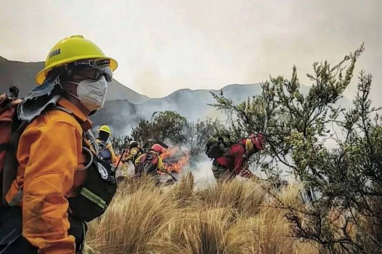 Alerta por riesgo extremo de incendios en varios puntos de la provincia: se esperan fuertes ráfagas de viento 