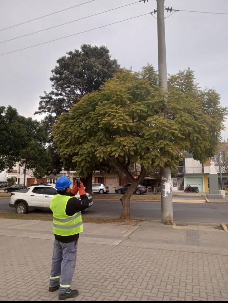 En San Francisco se relevan postes y subestaciones para identificar posibles fallas y riesgos en la infraestructura del servicio eléctrico