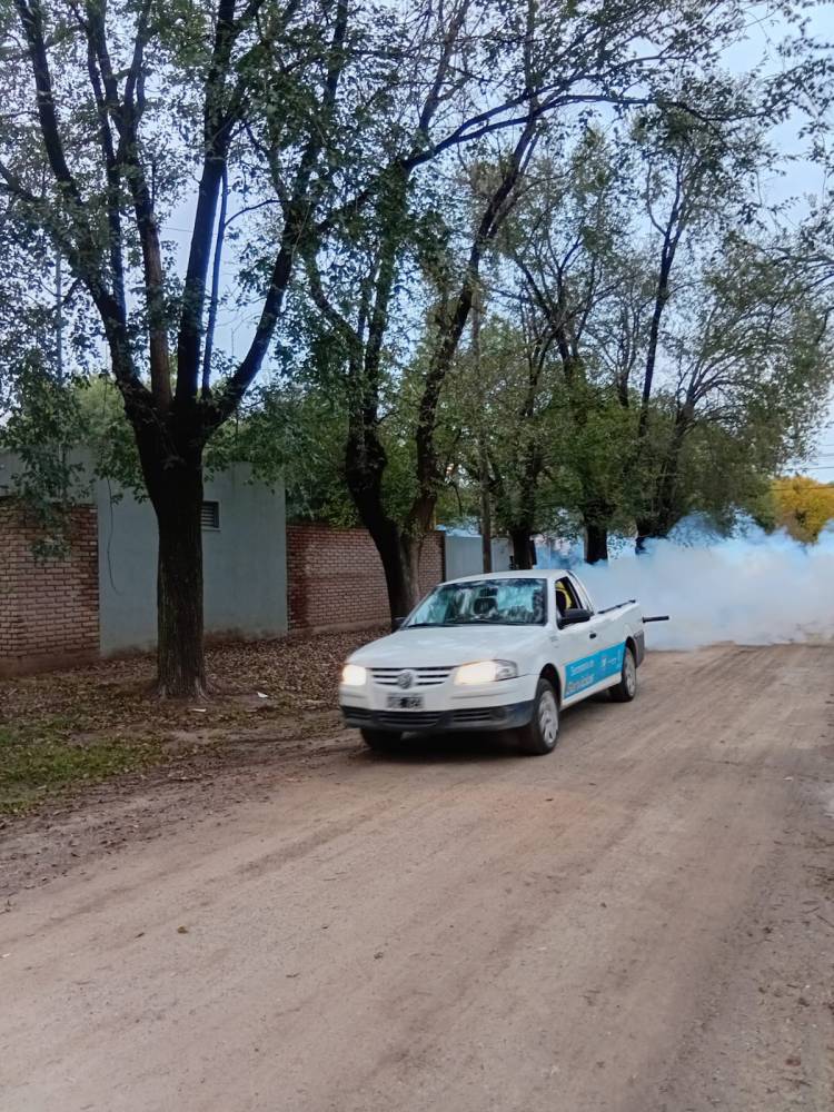 Ante las condiciones climáticas favorables para el mosquito el municipio intensifica la fumigación